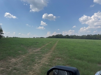 Highly Productive Poultry Farm Located in Wood County Texas - image 17