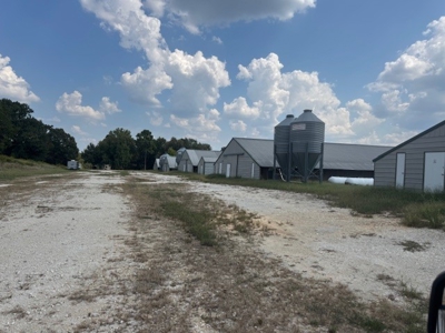 Highly Productive Poultry Farm Located in Wood County Texas - image 12