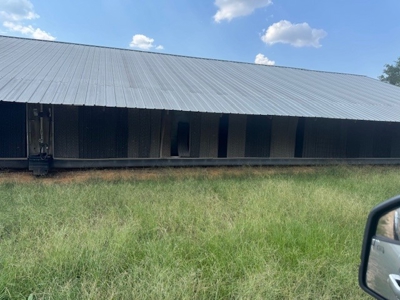 Highly Productive Poultry Farm Located in Wood County Texas - image 1