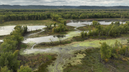Waterfowl & Fishing Camp for Sale on the Mississippi River - image 33