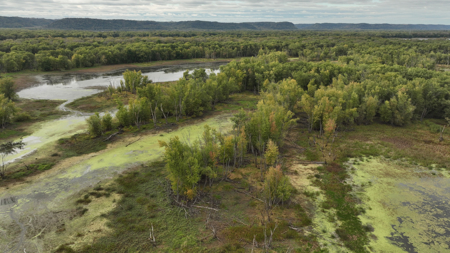 Waterfowl & Fishing Camp for Sale on the Mississippi River - image 35