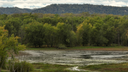 Waterfowl & Fishing Camp for Sale on the Mississippi River - image 27