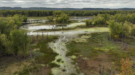 Waterfowl & Fishing Camp for Sale on the Mississippi River - image 32