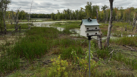 Waterfowl & Fishing Camp for Sale on the Mississippi River - image 38