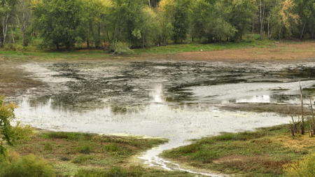 Waterfowl & Fishing Camp for Sale on the Mississippi River - image 30