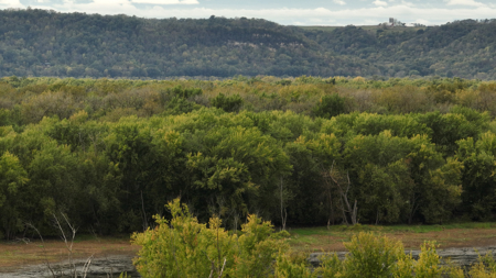 Waterfowl & Fishing Camp for Sale on the Mississippi River - image 29
