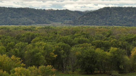 Waterfowl & Fishing Camp for Sale on the Mississippi River - image 28