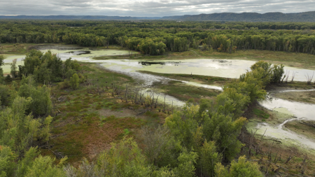 Waterfowl & Fishing Camp for Sale on the Mississippi River - image 34