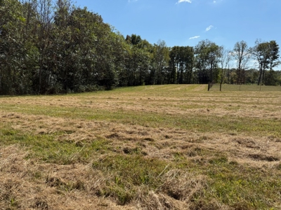 Golf all the courses near this beautiful 21.688 Acres! - image 14