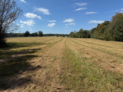 Golf all the courses near this beautiful 21.688 Acres! - image 20