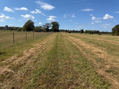 Golf all the courses near this beautiful 21.688 Acres! - image 27