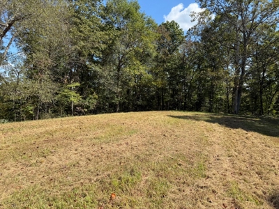 Golf all the courses near this beautiful 21.688 Acres! - image 18