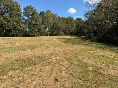 Golf all the courses near this beautiful 21.688 Acres! - image 15