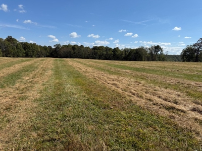 Golf all the courses near this beautiful 21.688 Acres! - image 4