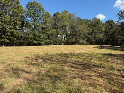 Golf all the courses near this beautiful 21.688 Acres! - image 17