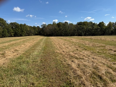 Golf all the courses near this beautiful 21.688 Acres! - image 10