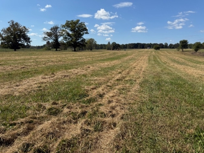 Golf all the courses near this beautiful 21.688 Acres! - image 7