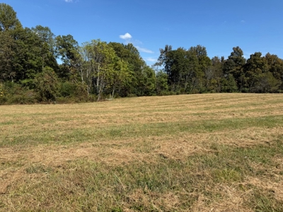 Golf all the courses near this beautiful 21.688 Acres! - image 2