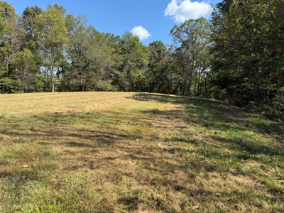 Golf all the courses near this beautiful 21.688 Acres! - image 16