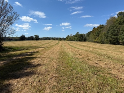 Golf all the courses near this beautiful 21.688 Acres! - image 19