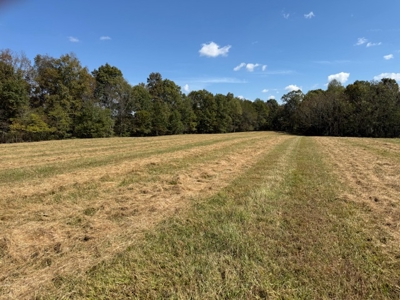 Golf all the courses near this beautiful 21.688 Acres! - image 8