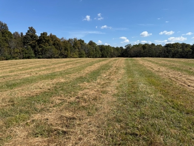 Golf all the courses near this beautiful 21.688 Acres! - image 3