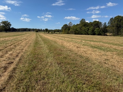 Golf all the courses near this beautiful 21.688 Acres! - image 11