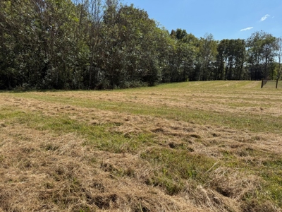 Golf all the courses near this beautiful 21.688 Acres! - image 13