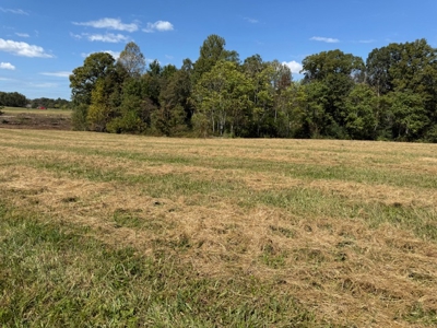 Golf all the courses near this beautiful 21.688 Acres! - image 6