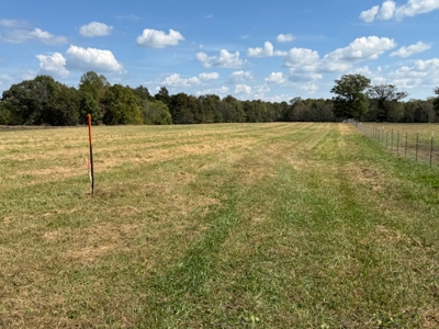 Golf all the courses near this beautiful 21.688 Acres! - image 29