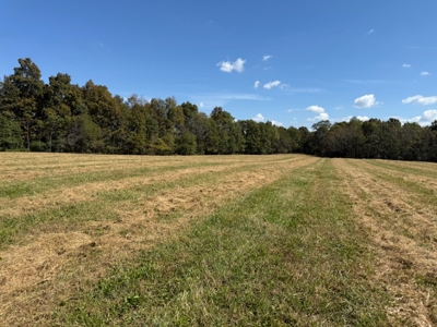 Golf all the courses near this beautiful 21.688 Acres! - image 5