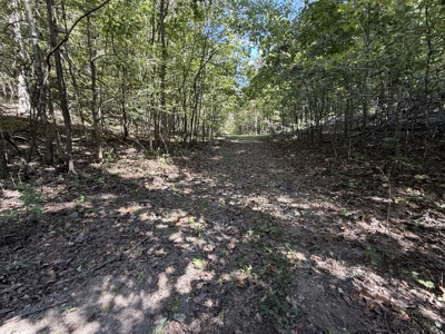 Hunting And Recreational Land For Sale In Arkansas - image 19