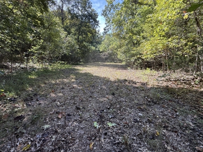 Hunting And Recreational Land For Sale In Arkansas - image 18