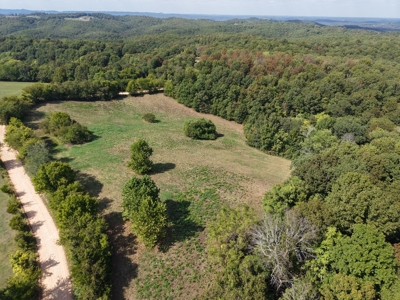 Hunting And Recreational Land For Sale In Arkansas - image 1