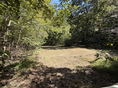 Hunting And Recreational Land For Sale In Arkansas - image 17
