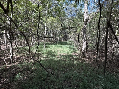 Hunting And Recreational Land For Sale In Arkansas - image 7