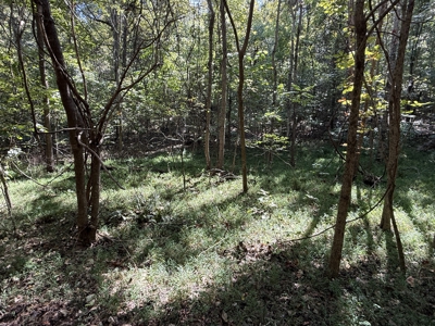 Hunting And Recreational Land For Sale In Arkansas - image 6