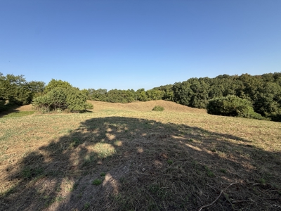 Hunting And Recreational Land For Sale In Arkansas - image 11