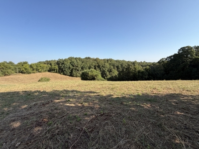 Hunting And Recreational Land For Sale In Arkansas - image 10