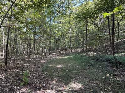Hunting And Recreational Land For Sale In Arkansas - image 15