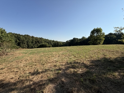 Hunting And Recreational Land For Sale In Arkansas - image 4