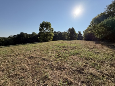 Hunting And Recreational Land For Sale In Arkansas - image 9