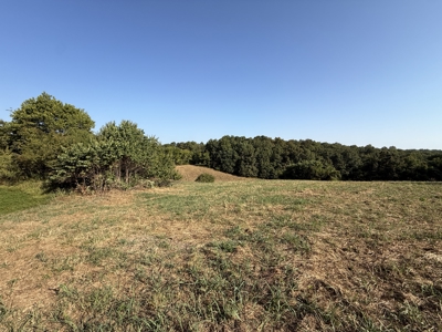 Hunting And Recreational Land For Sale In Arkansas - image 8