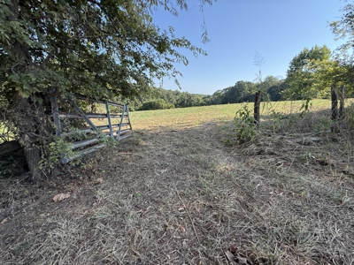 Hunting And Recreational Land For Sale In Arkansas - image 3