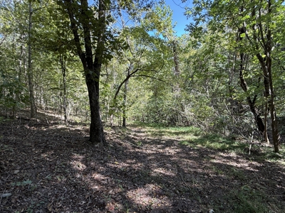 Hunting And Recreational Land For Sale In Arkansas - image 13