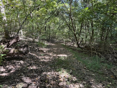 Hunting And Recreational Land For Sale In Arkansas - image 5