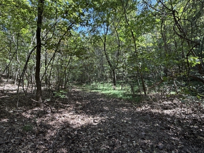 Hunting And Recreational Land For Sale In Arkansas - image 14