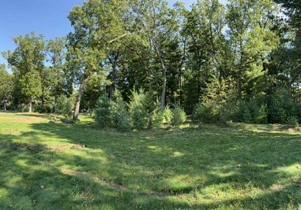 1/2 Acre Wooded Lot on Beautiful Northern Bay Golf Course - image 3