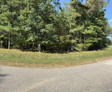 1/2 Acre Wooded Lot on Beautiful Northern Bay Golf Course - image 8