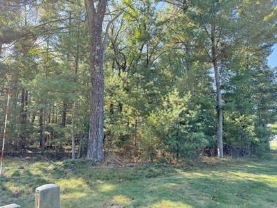 1/2 Acre Wooded Lot on Beautiful Northern Bay Golf Course - image 9